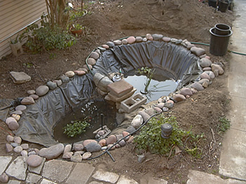 Greywater Pond